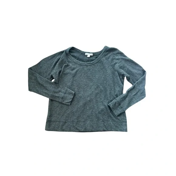 James Perse Standard Crew Neck Long Sleeve Sweatshirt Heather Gray Size Small - Picture 1 of 5